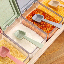 Load image into Gallery viewer, 4 Compartment Condiment Container