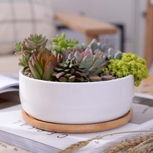 Load image into Gallery viewer, Bahari - Porcelain Round Desktop Succulent Planter