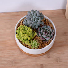 Load image into Gallery viewer, Bahari - Porcelain Round Desktop Succulent Planter