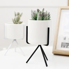 Load image into Gallery viewer, 3 Set Ceramic Flower Planters with Modern Stand