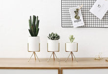 Load image into Gallery viewer, 3 Set Ceramic Flower Planters with Modern Stand