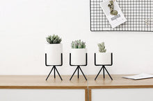 Load image into Gallery viewer, 3 Set Ceramic Flower Planters with Modern Stand