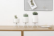 Load image into Gallery viewer, 3 Set Ceramic Flower Planters with Modern Stand