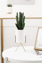 Load image into Gallery viewer, 3 Set Ceramic Flower Planters with Modern Stand