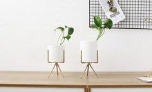 Load image into Gallery viewer, 3 Set Ceramic Flower Planters with Modern Stand