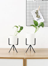 Load image into Gallery viewer, 3 Set Ceramic Flower Planters with Modern Stand