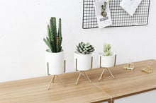 Load image into Gallery viewer, 3 Set Ceramic Flower Planters with Modern Stand