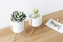 Load image into Gallery viewer, 3 Set Ceramic Flower Planters with Modern Stand