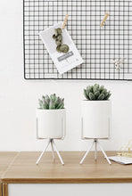 Load image into Gallery viewer, 3 Set Ceramic Flower Planters with Modern Stand