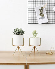 Load image into Gallery viewer, 3 Set Ceramic Flower Planters with Modern Stand