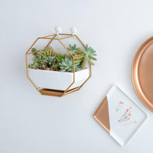 Load image into Gallery viewer, Ayla - Iron Frame Ceramic Geometric Planter