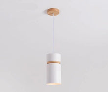 Load image into Gallery viewer, Brantley - Modern Nordic LED Pendant Light
