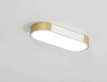 Load image into Gallery viewer, Bellarose - LED Ceiling Light

