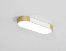 Load image into Gallery viewer, Bellarose - LED Ceiling Light
