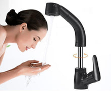 Load image into Gallery viewer, Berta - Pull Out Chrome Finish Bathroom Sink Faucet

