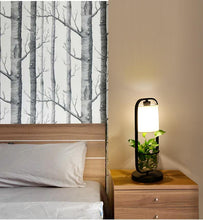 Load image into Gallery viewer, Augustus - Frame Planter LED Desk Lamp
