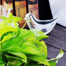 Load image into Gallery viewer, Birdly - Automatic Water Drip Bird Planters (Set of Two)
