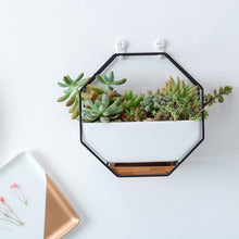 Load image into Gallery viewer, Ayla - Iron Frame Ceramic Geometric Planter
