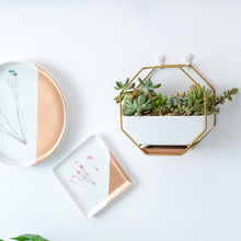 Load image into Gallery viewer, Ayla - Iron Frame Ceramic Geometric Planter
