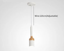 Load image into Gallery viewer, Butler - Modern Nordic LED Brush Pendant Light
