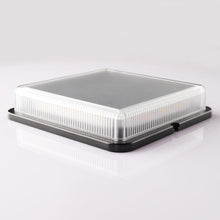 Load image into Gallery viewer, Calandra - LED Solar Ground Embedded Light
